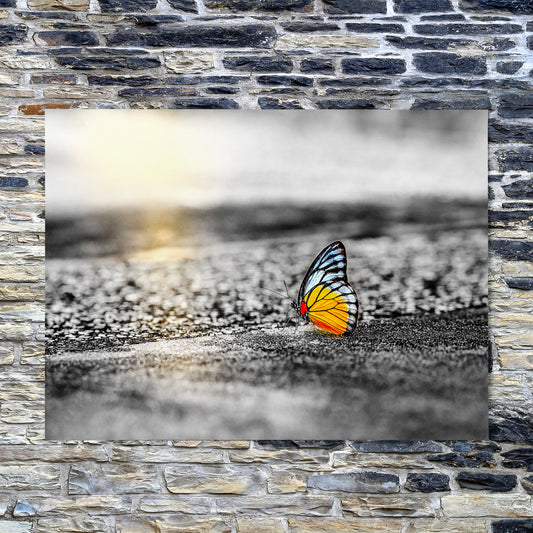 Pop of Sunrise Gold - Art Print