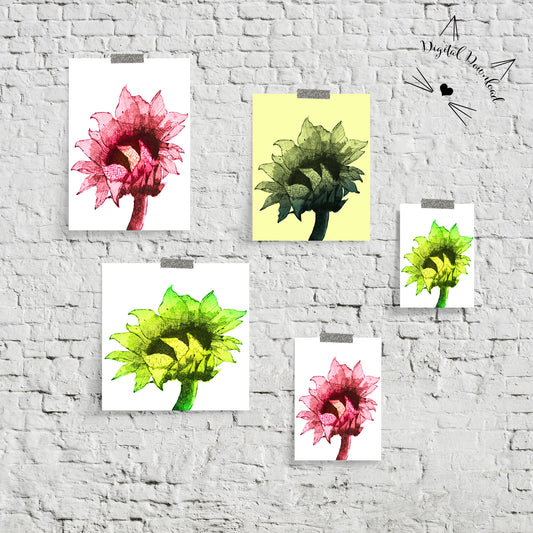 Sunflower - Digital Download
