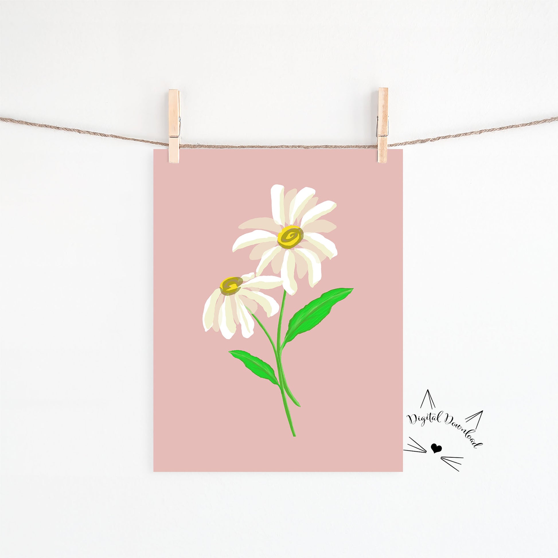 Artwork of two daisies on various colored backgrounds for digital downloads. 