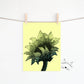 Large sunflower in black on bright yellow background available for digital download.  