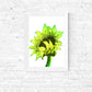 Sunflower - Digital Download