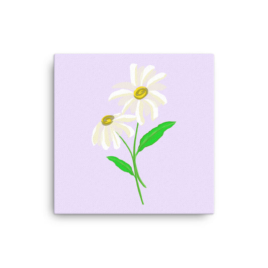 Daisy Day - Selago - Canvas