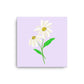 Daisy Day - Selago - Canvas