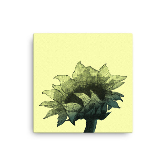 Sunflower - Parchment - Canvas
