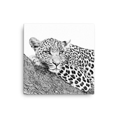 Leopard - Black & White - Canvas