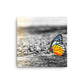 Pop of Sunrise Gold - Canvas