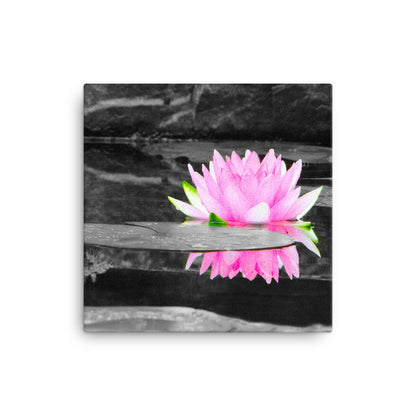 Pop of Blossom Pink - Canvas