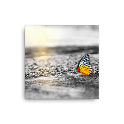 Pop of Sunrise Gold - Canvas