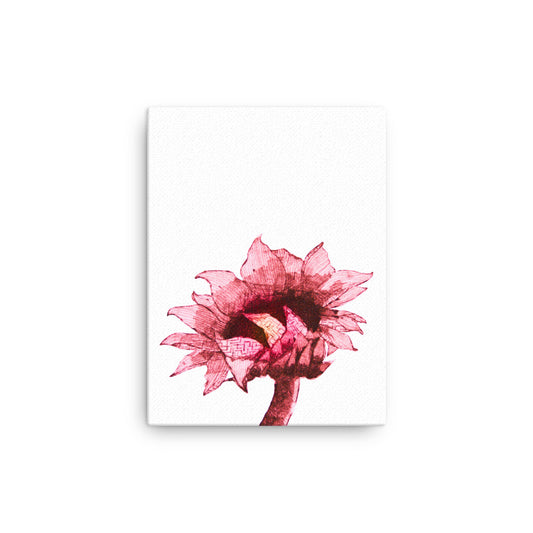 Large sunflower in red and black on a white canvas.