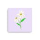 Daisy Day - Selago - Canvas