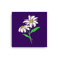 Daisy Day - Ripe Plum - Canvas