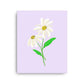 Daisy Day - Selago - Canvas