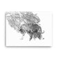 Tigers - Limited Edition - Black & White - Canvas