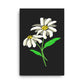 Daisy Day - Ink - Canvas
