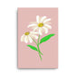 Daisy Day - Rose Fog - Canvas