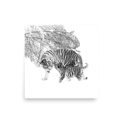 Tigers - Limited Edition - Black & White - Art Print