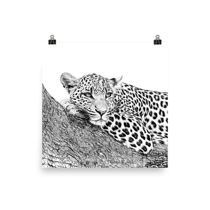 Leopard - Black & White - Art Print