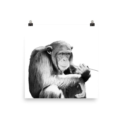 Chimpanzee - Black & White - Art Print