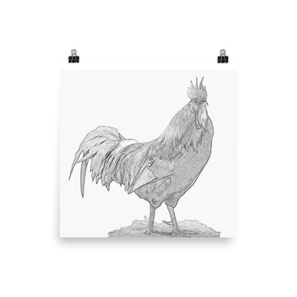 Rooster - Black & White - Art Print