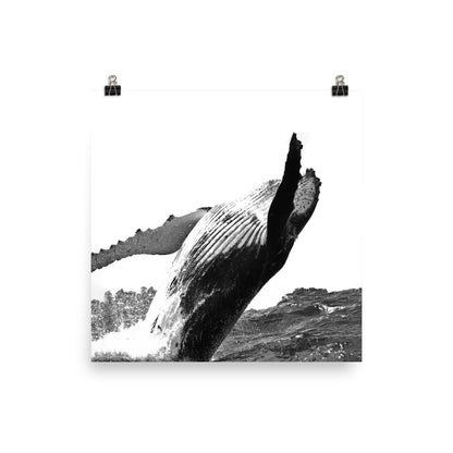 Humpback Whale - Black & White - Art Print