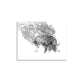 Tigers - Limited Edition - Black & White - Art Print