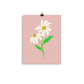 Daisy Day - Rose Fog - Art Print