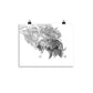 Tigers - Limited Edition - Black & White - Art Print