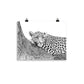 Leopard - Black & White - Art Print