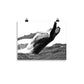 Humpback Whale - Black & White - Art Print