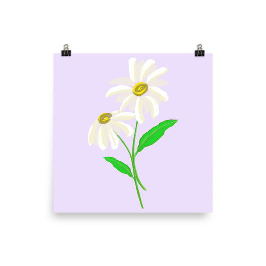 Daisy Day - Selago - Art Print