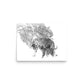 Tigers - Limited Edition - Black & White - Art Print