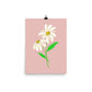 Daisy Day - Rose Fog - Art Print