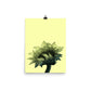 Sunflower - Parchment - Art Print