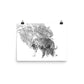 Tigers - Limited Edition - Black & White - Art Print