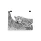 Leopard - Black & White - Art Print