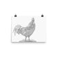 Rooster - Black & White - Art Print