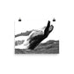 Humpback Whale - Black & White - Art Print