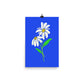 Daisy Day - Royal Blue - Art Print