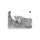 Leopard - Black & White - Art Print