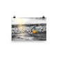 Pop of Sunrise Gold - Art Print