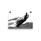 Humpback Whale - Black & White - Art Print