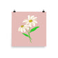 Daisy Day - Rose Fog - Art Print