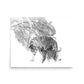 Tigers - Limited Edition - Black & White - Art Print