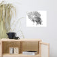 Tigers - Limited Edition - Black & White - Art Print