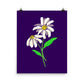 Daisy Day - Ripe Plum - Art Print