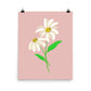 Daisy Day - Rose Fog - Art Print