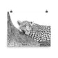 Leopard - Black & White - Art Print