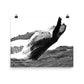 Humpback Whale - Black & White - Art Print