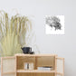 Tigers - Limited Edition - Black & White - Art Print