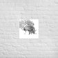 Tigers - Limited Edition - Black & White - Art Print